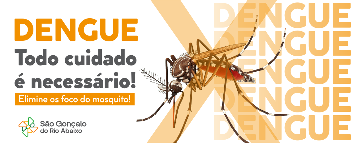 Dengue 2025